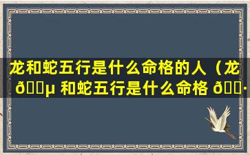 龙和蛇五行是什么命格的人（龙 🐵 和蛇五行是什么命格 🌷 的人呢）